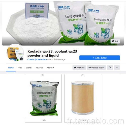 Additifs alimentaires Koolada Agent de refroidissement WS-23 pour les bonbons